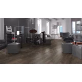 Ламинат Kronopol Platinium Venus D 3748 Дуб Артемида в интерьере
