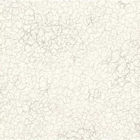 Виниловые обои Vilia Wallpaper Сахара бежевая (1069-62) на флизелиновой основе 1,06*10,05м